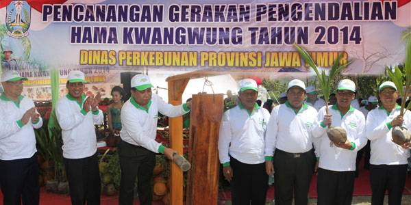 Disbun Tanggulangi Kwangwung