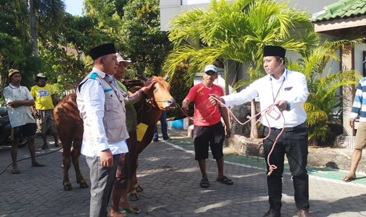 Peringati Idul Adha 1440 H, PT PLN UP3 Pamekasan Kurban 12 Sapi dan 4 Kambing