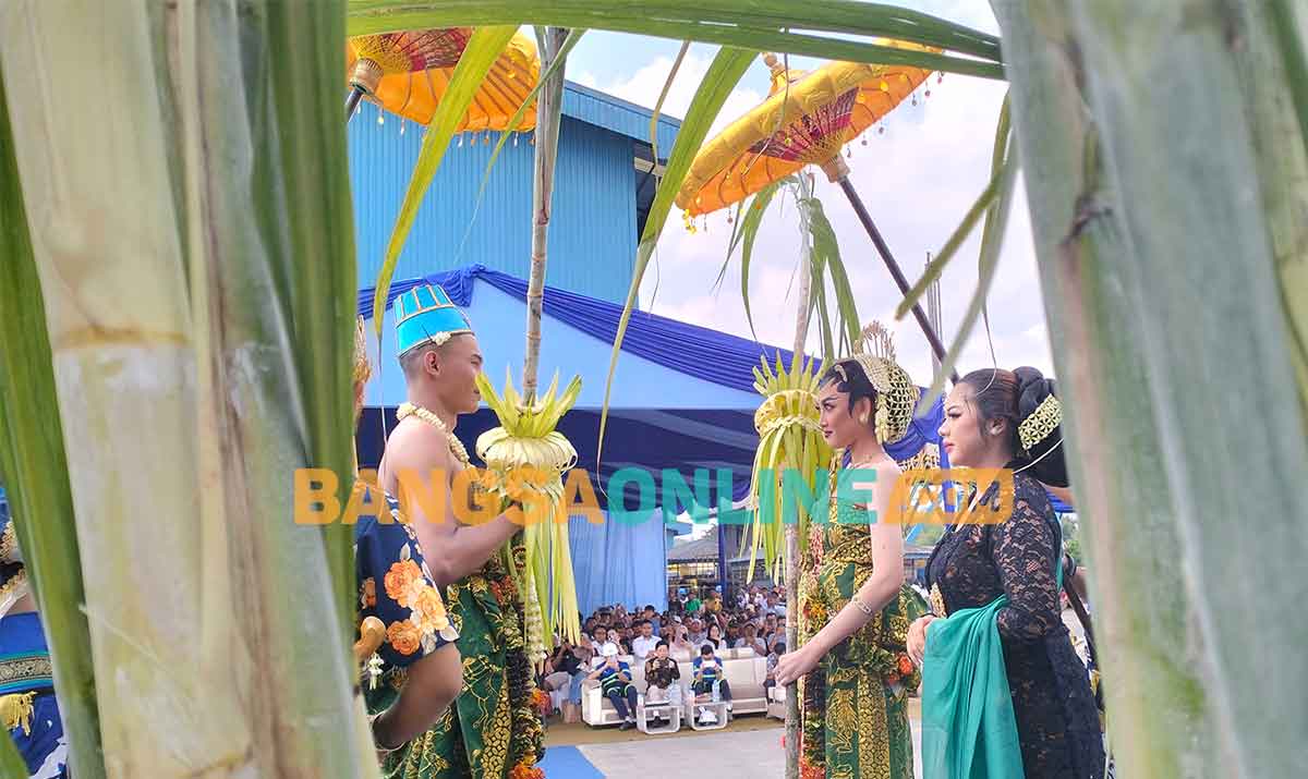 Tradisi Manten Tebu di Pabrik Gula Rejoso Manis Indo, Kabupaten Blitar. Foto: AKINA NUR ALANA/BANGSAONLINE
