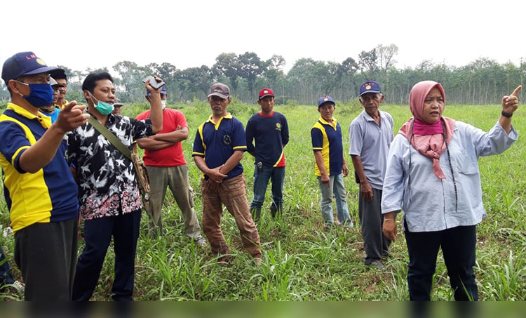 Sekretaris DPD Aspeporin Madiun Raya Karyani Ekawati (sedang menunjuk) dan Ketua DPD Aspeporin Kabupaten Kediri Eko Cahyono (baju batik), saat mengecek lahan yang akan ditanami porang di Desa Satak, Kecamatan Puncu. foto: MUJI HARJITA/ BANGSAONLINE