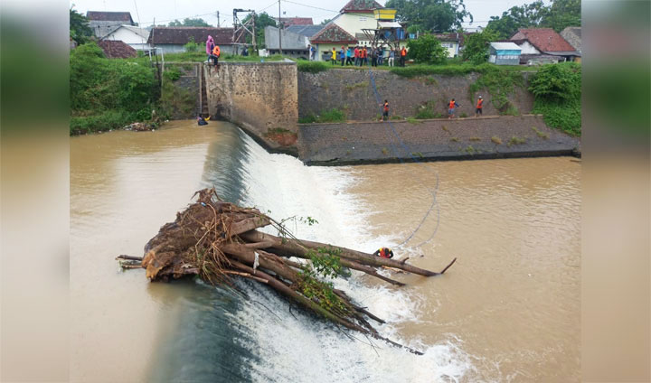 Petugas gabungan berjibaku mengangkat pohon tumbang di dam telusur. foto: YUDI EP/ BANGSAONLINE 