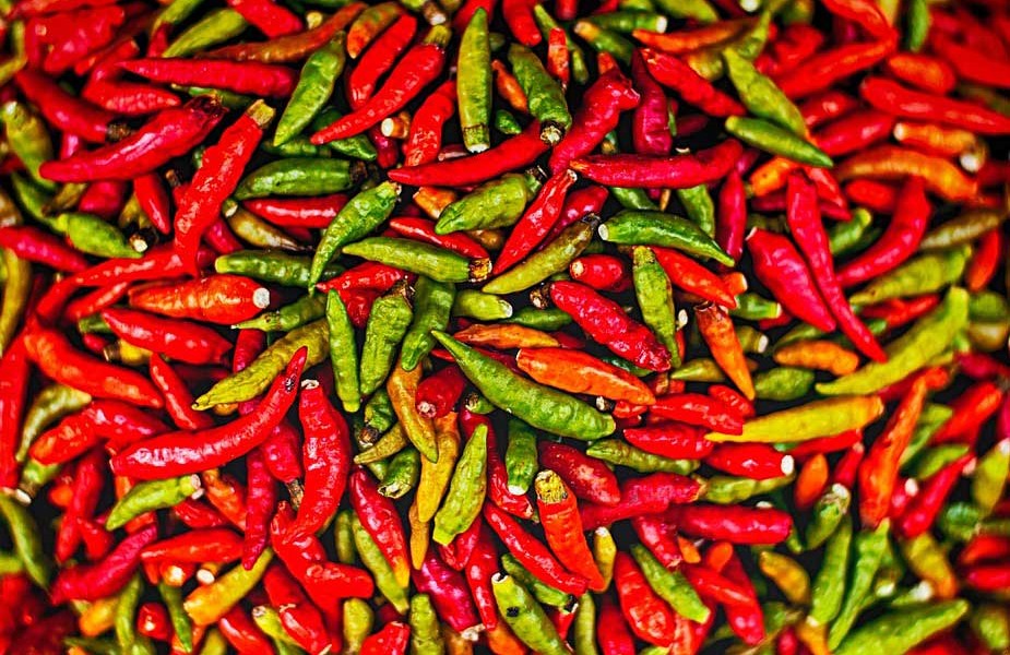 Harga cabai rawit di Jatim turun lagi. Foto: Pixabay.