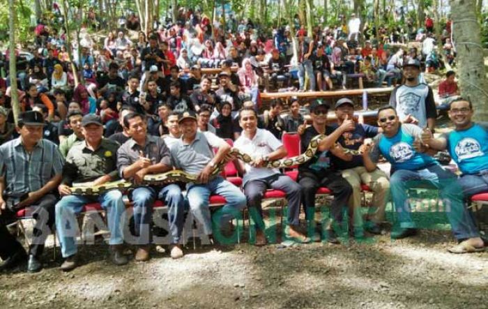 Ular Sanca Kembang Warnai Gathering Akbar Komunitas Pecinta Satwa di Trenggalek