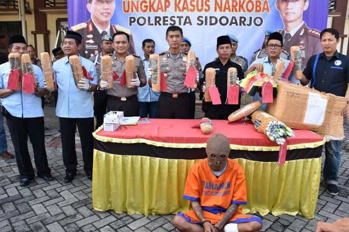Pengedar Ganja 11,8 Kg Ditembak Polisi Sidoarjo Pengedar Ganja 11,8 Kg Ditembak Polisi Sidoarjo