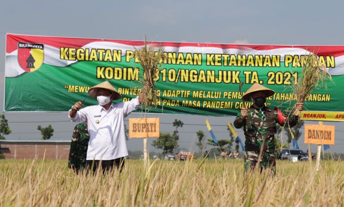 Menuju Nganjuk Sehat, Plt Bupati Marhaen Hadiri Panen Perdana Padi Sehat Sistem Demplot