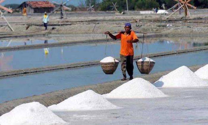 Kepala Disperindag Sumenep: Tengkulak Rusak Harga Garam Kepala Disperindag Sumenep: Tengkulak Rusak Harga Garam