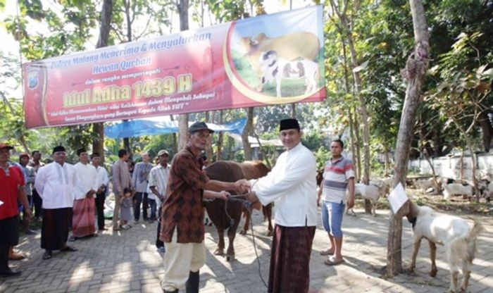 Rayakan Idul Adha 1439 H, Kapolres Malang Serahkan 39 Hewan Kurban Rayakan Idul Adha 1439 H, Kapolres Malang Serahkan 39 Hewan Kurban