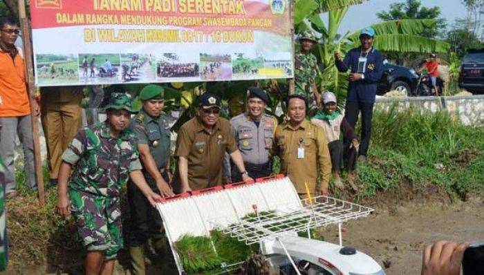 Pemkab Gresik Optimis Kebutuhan Padi 2016 Surplus