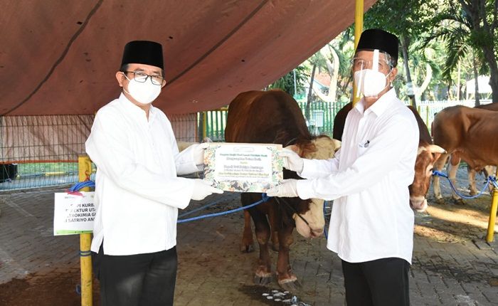 Petrokimia Gresik Salurkan 107 Hewan Kurban kepada Masyarakat Sekitar Petrokimia Gresik Salurkan 107 Hewan Kurban kepada Masyarakat Sekitar