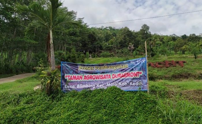 Di Tengah Pandemi, Pemdes Blimbing Bangun Bukit Duraemont