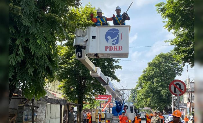 Pimpin Langsung Gerpas Pohon, Bupati Jember Sisir 9 Ruas Jalan Pimpin Langsung Gerpas Pohon, Bupati Jember Sisir 9 Ruas Jalan