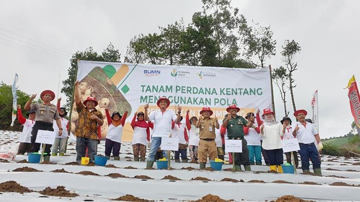 Dirut PG Tanam Perdana Kentang di Lahan Demplot Garut Dirut PG Tanam Perdana Kentang di Lahan Demplot Garut