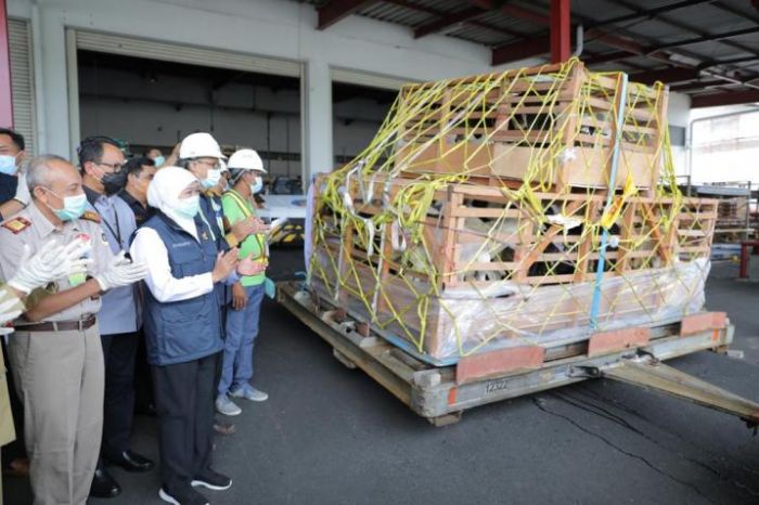 ​Gubernur Khofifah Lepas Ekspor 2.650 Domba Asal Jatim ke Brunei Darussalam
