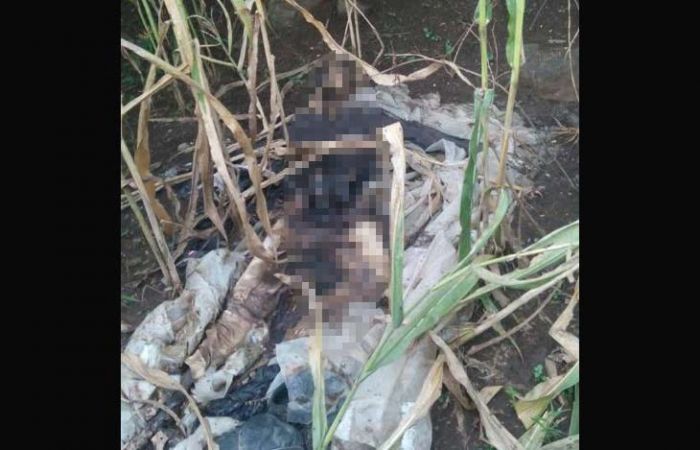 Warga Dukuh Ngemplak Ponorogo Temukan Tulang Belulang Manusia di Kebun Jagung