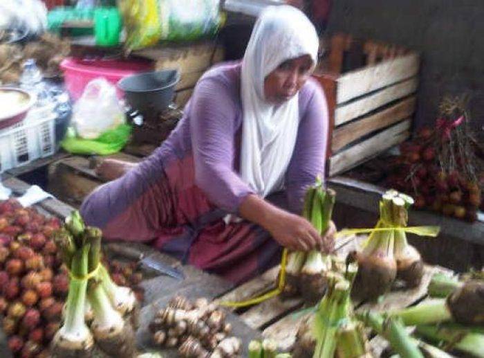 Hama Ninja Bikin Pusing Petani Buah Kombeh
