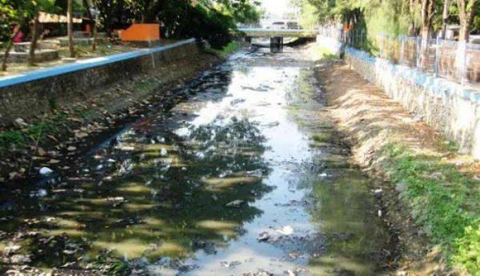 IPAL Pasar Ikan Lamongan Rusak, Warga Disuguhi Bau Busuk IPAL Pasar Ikan Lamongan Rusak, Warga Disuguhi Bau Busuk