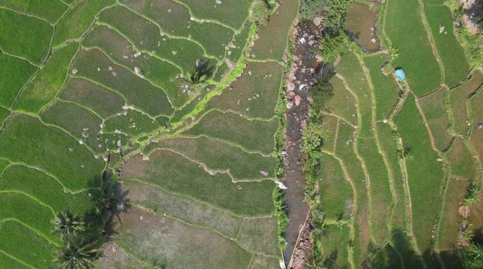 Menteri ATR/BPN: Reforma Agraria Kunci Pembangunan Adil dan Sejahtera bagi Semua Lapisan Menteri ATR/BPN: Reforma Agraria Kunci Pembangunan Adil dan Sejahtera bagi Semua Lapisan