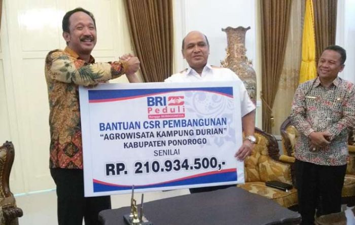 BRI Cabang Ponorogo Serahkan CSR Agrowisata untuk Kampung Durian di Desa Ngrogung