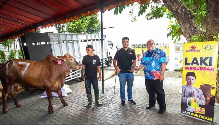 Serahkan Sapi Limousin Perkasa, Extra Joss Tambah Energi Positif Lewat Spiritualitas Kurban Serahkan Sapi Limousin Perkasa, Extra Joss Tambah Energi Positif Lewat Spiritualitas Kurban