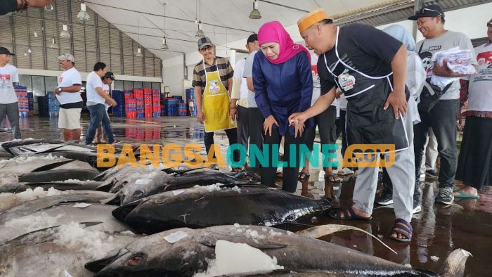 Khofifah Siap Koneksikan Tuna Sirip Kuning Andalan TPI Sendang Biru dengan Industri Khofifah Siap Koneksikan Tuna Sirip Kuning Andalan TPI Sendang Biru dengan Industri