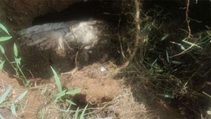Setelah Viral Jasad Utuh di Labuhanbatu, Ternyata Begini Kondisinya Setelah Viral Jasad Utuh di Labuhanbatu, Ternyata Begini Kondisinya