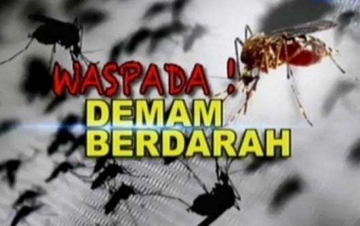 Curah Hujan Tinggi, Warga Kabupaten Blitar Diminta Waspadai DBD