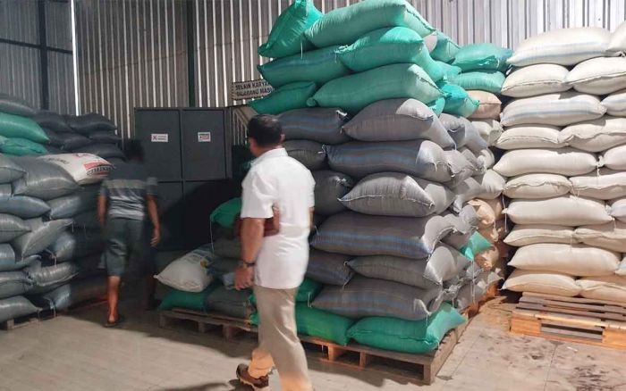 Jelang Panen Raya, Bulog Kancab Mojokerto Siap Serap Gabah dari Petani Jelang Panen Raya, Bulog Kancab Mojokerto Siap Serap Gabah dari Petani