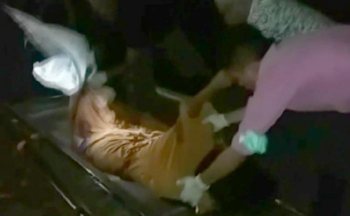 Seorang Ibu Rumah Tangga Tewas Tertabrak Kereta, Diduga Bunuh Diri Akibat Depresi Masalah Keluarga Seorang Ibu Rumah Tangga Tewas Tertabrak Kereta, Diduga Bunuh Diri Akibat Depresi Masalah Keluarga
