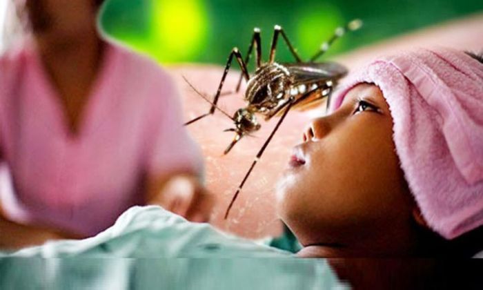 Ini Klarifikasi RSUD dr Darsono Pacitan Soal Pasien DBD yang Meninggal Dunia Ini Klarifikasi RSUD dr Darsono Pacitan Soal Pasien DBD yang Meninggal Dunia