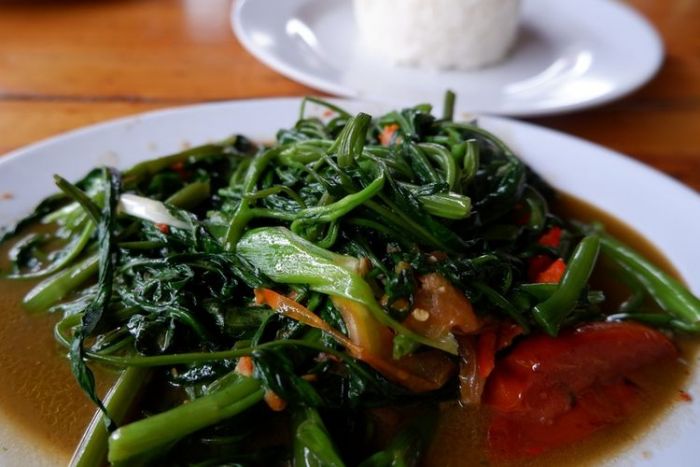Resep Tumis Sayur Kangkung Saus Tiram Resep Tumis Sayur Kangkung Saus Tiram