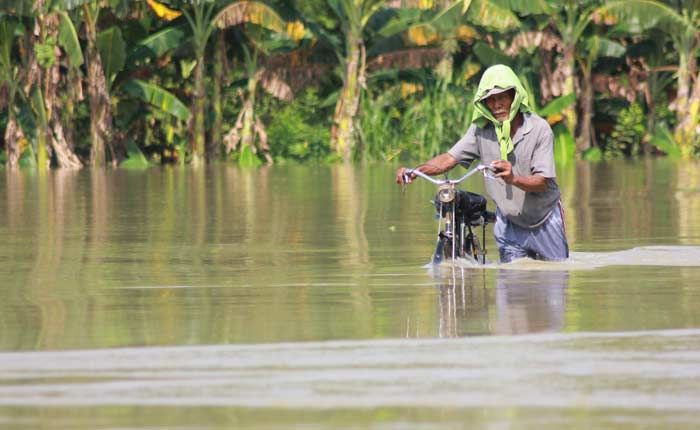 Kerugian Sementara Banjir Luapan Bengawan Solo di Bojonegoro Capai Rp 6,3 Miliar