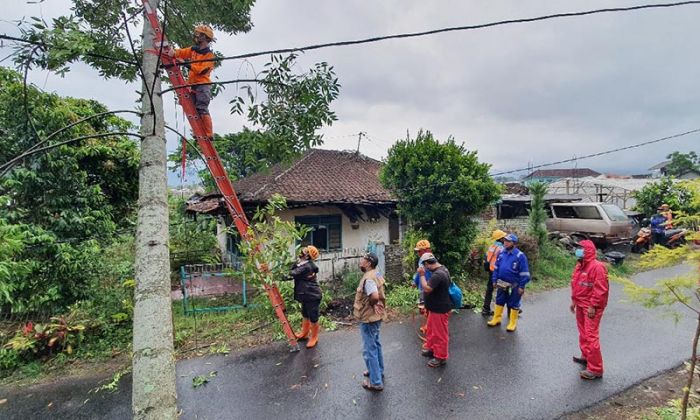 Oktober, Tanah Longsor dan Angin Kencang Dominasi Bencana di Kota Batu Oktober, Tanah Longsor dan Angin Kencang Dominasi Bencana di Kota Batu