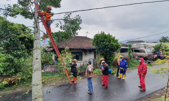 Oktober, Tanah Longsor dan Angin Kencang Dominasi Bencana di Kota Batu