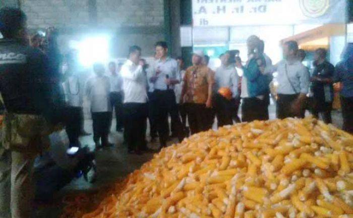 Targetkan Swasembada Jagung, Mentan Cek Kesiapan Perusahaan Benih di Kediri