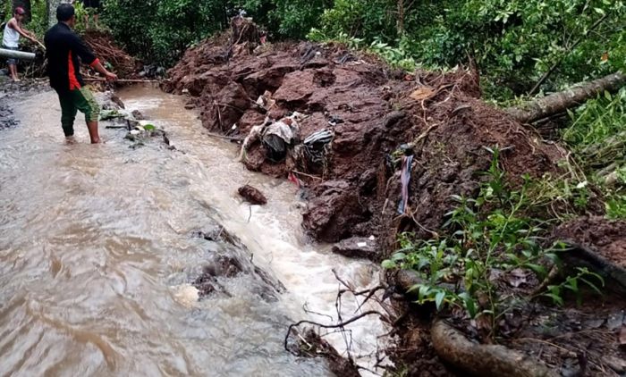 Tangkis Sungai yang Ambrol di Desa Joho Kediri akan Dipasangi Sesek dan Glangsing Tangkis Sungai yang Ambrol di Desa Joho Kediri akan Dipasangi Sesek dan Glangsing