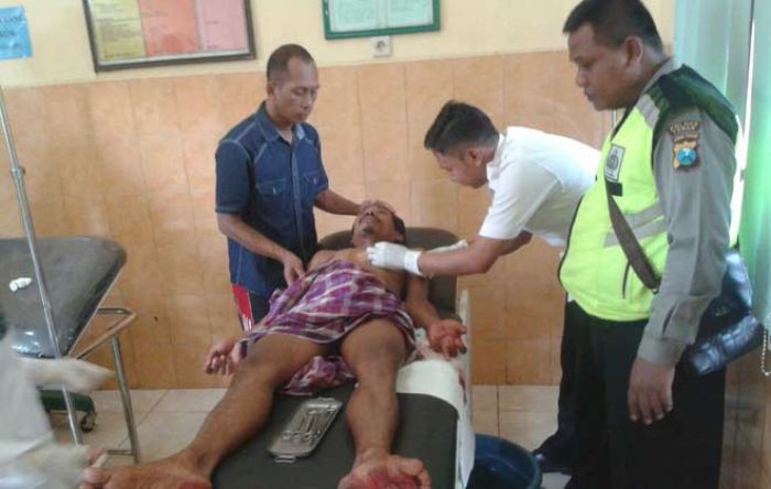 Babi Hutan Serang Permukiman di Kedungjambangan Bangilan, 2 Warga Luka-luka Babi Hutan Serang Permukiman di Kedungjambangan Bangilan, 2 Warga Luka-luka