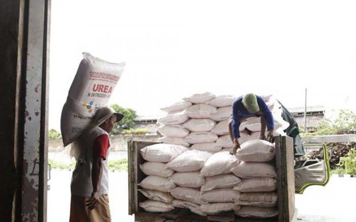 Satreskrim Polres Tuban Ungkap Kasus Dugaan Penyelewengan Pupuk Subsidi di Bancar Satreskrim Polres Tuban Ungkap Kasus Dugaan Penyelewengan Pupuk Subsidi di Bancar