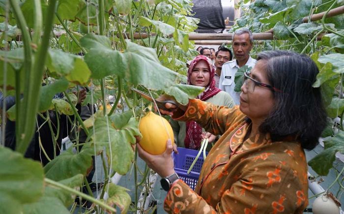 Pj Wali Kota Kediri Serahkan Sertifikat Prima 3 dan Izin Edar PSAT-PDUK Pj Wali Kota Kediri Serahkan Sertifikat Prima 3 dan Izin Edar PSAT-PDUK