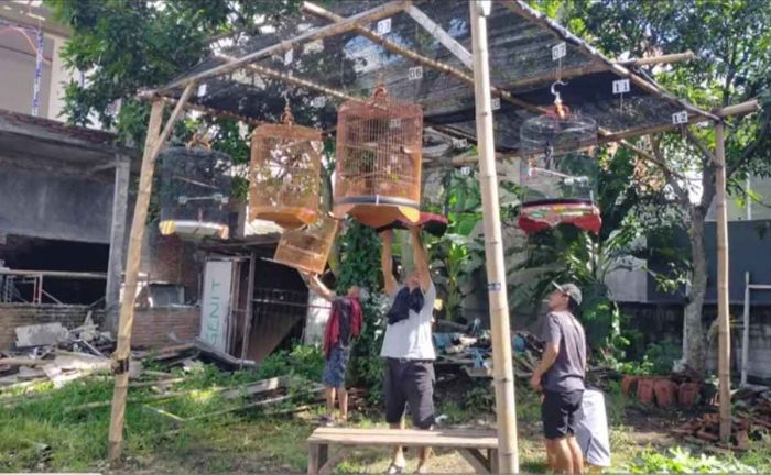Komunitas ini Gagas Kampung Burung Bioro Malang Komunitas ini Gagas Kampung Burung Bioro Malang