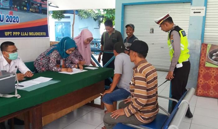 Sopir Bus AKDP Banyak yang Darah Tinggi Sopir Bus AKDP Banyak yang Darah Tinggi