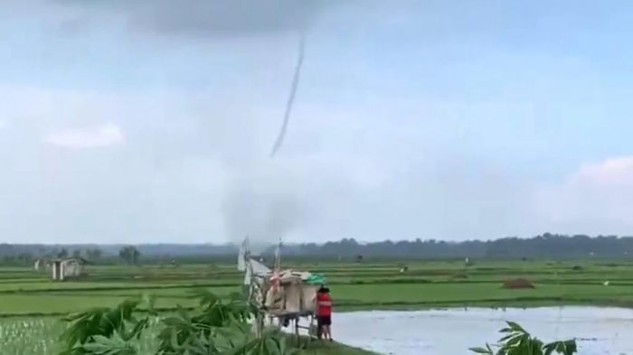 Puting Beliung Sapu Sawah di Kamal Bangkalan, Muncul Tiba-tiba Tanpa Hujan