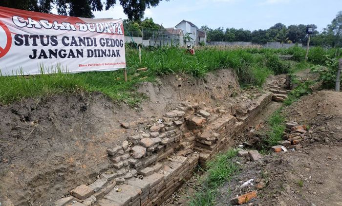 Ekskavasi Lanjutan Candi Gedog Kota Blitar Dimulai dengan Selamatan