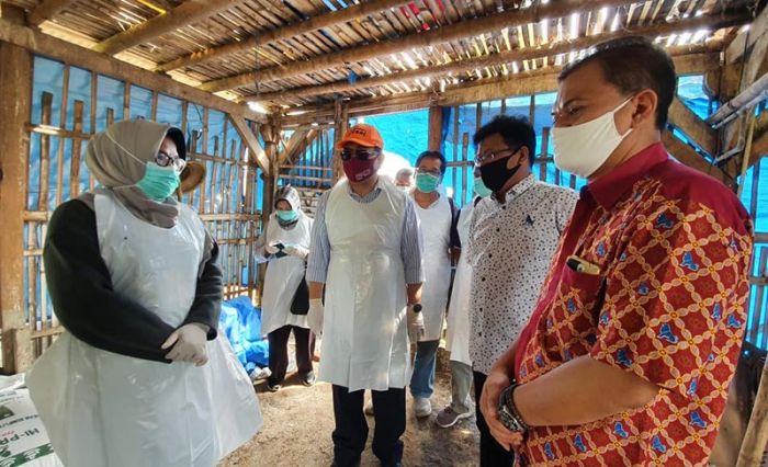 Dinas Peternakan Provinsi Jawa Timur Lakukan Pendampingan dan Pemantauan Live Bird Dinas Peternakan Provinsi Jawa Timur Lakukan Pendampingan dan Pemantauan Live Bird