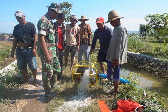 Dukung Peningkatan Produksi Padi, Babinsa Lakukan Pendampingan dalam Percepatan Pompanisasi Dukung Peningkatan Produksi Padi, Babinsa Lakukan Pendampingan dalam Percepatan Pompanisasi
