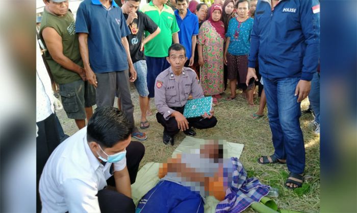 Buruh Tani di Ngawi Tewas Saat Usai Memanen Padi Buruh Tani di Ngawi Tewas Saat Usai Memanen Padi