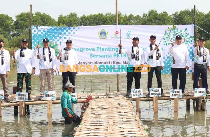 Pemkab Gresik Bersama Petronas dan SKK Migas Tanam 10.000 Mangrove di Manyar Pemkab Gresik Bersama Petronas dan SKK Migas Tanam 10.000 Mangrove di Manyar