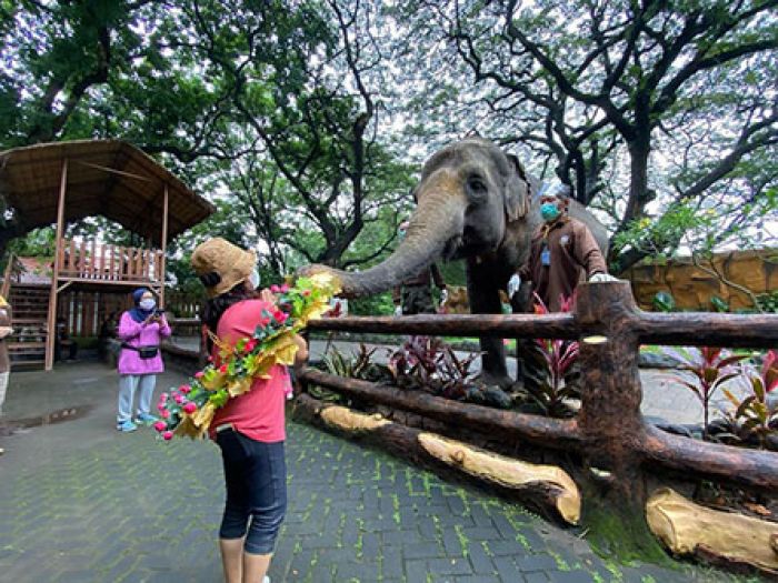 9 Kebun Binatang Terbaik di Indonesia yang Harus Dikunjungi saat Liburan 9 Kebun Binatang Terbaik di Indonesia yang Harus Dikunjungi saat Liburan