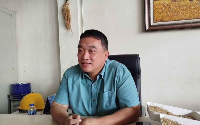 Perpadi Siap Serap Gabah dari Petani Jombang dengan Harga Tinggi Perpadi Siap Serap Gabah dari Petani Jombang dengan Harga Tinggi
