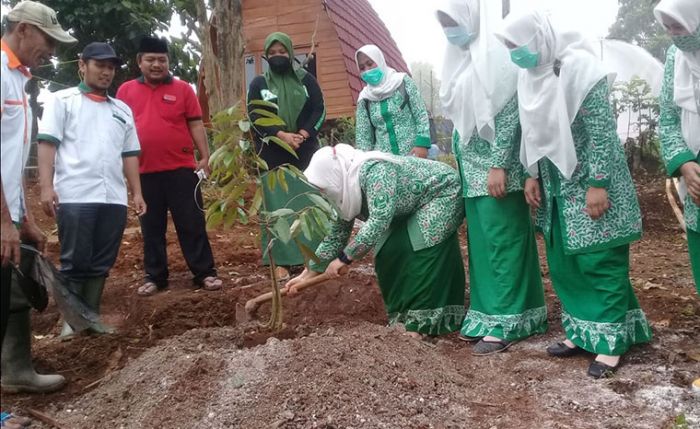 Tanam Pohon Durian, Ketua Fatayat NU Jombang Yakin Agropolis Bisa Jadi Hulu-Hilir Sentra Durian Tanam Pohon Durian, Ketua Fatayat NU Jombang Yakin Agropolis Bisa Jadi Hulu-Hilir Sentra Durian