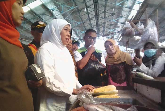 Tekan Kenaikan Harga, Khofifah Usulkan Pembangunan Gudang untuk Pasar Tradisional Tekan Kenaikan Harga, Khofifah Usulkan Pembangunan Gudang untuk Pasar Tradisional